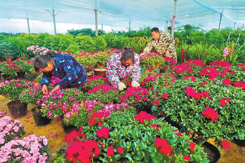 河南:人勤春来早