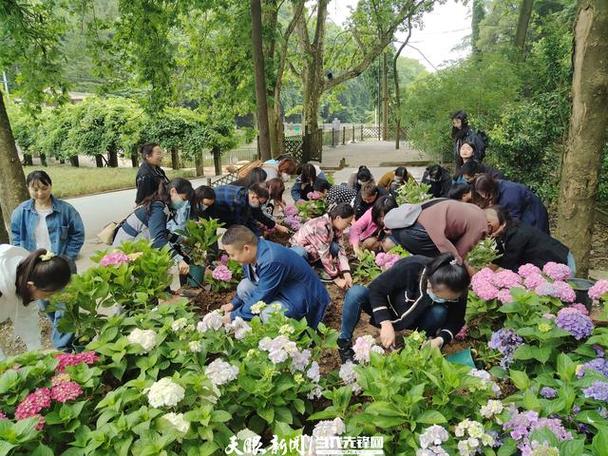 贵阳云岩区科协开展"生态科普讲座"暨"花卉种植"进机关文明实践体验